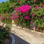 Горящие туры в отель Les Villas Ottalia Gili Meno - 2