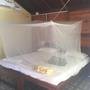 Горящие туры в отель Hotel Saiganesh - 4