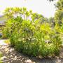 Горящие туры в отель Yoland Guest House - 3