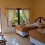 Горящие туры в отель Hotel My Lovina - 2