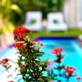 Горящие туры в отель Bermimpi Bali Villas - 4