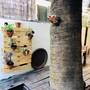 Горящие туры в отель Trieste Neve Tzedek Boutique Suites - 2