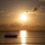 Горящие туры в отель Jangwani Sea Breeze Resort - 5