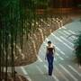 Горящие туры в отель Hyatt Regency Beijing Wangjing - 4