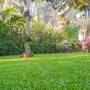 Горящие туры в отель Wanawalai Luxury Villa - 3