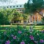 Горящие туры в отель Amara Family Resort - 3