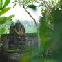 Горящие туры в отель Asri Sari Villa Ubud - 6