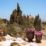 Горящие туры в отель Villa Brown Jerusalem - 2