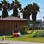 Горящие туры в отель Lambi Resort - 5