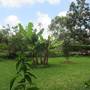 Горящие туры в отель Kilimanjaro Eco Lodge - 6