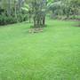 Горящие туры в отель Kilimanjaro Eco Lodge - 5
