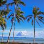 Горящие туры в отель Lime n Soda Beach Front Resort - 1