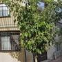 Горящие туры в отель Style Star Hotel - 5