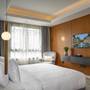 Горящие туры в отель Triumph Luxury Hotel - 5