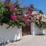 Горящие туры в отель Holiday Cottage Maldives, Thoddoo - 5