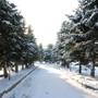 Горящие туры в отель Загородный комплекс Тропикана Парк - 6