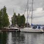 Горящие туры в отель Форелька база отдыха - 1