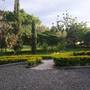 Горящие туры в отель Meru View Lodge  - 6