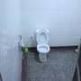Горящие туры в отель Kili Meru Resort - 4