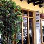Горящие туры в отель Arusha Backpackers Hotel Hostel - 6