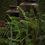 Горящие туры в отель Zawadi House Lodge, Arusha - 4