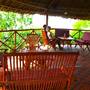 Горящие туры в отель Highland Bungalows - 6