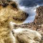 Горящие туры в отель Queens Cave Cappadocia - 5