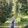 Горящие туры в отель Ferko Ilgaz Mountain Hotel & Resort - 1