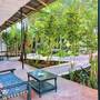 Горящие туры в отель Papaya Guest House Nungwi - 5