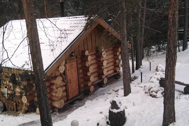 Елки и Волки