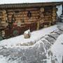 Горящие туры в отель Загородный Дом Елки и Волки - 4