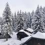 Горящие туры в отель Apartments Zed Vila Zvoncica - 1