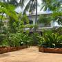 Горящие туры в отель Siri Beach Lodge - 6
