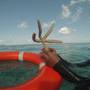 Горящие туры в отель Summer Shade Maldives - 6