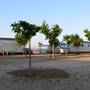 Горящие туры в отель Camping el Pinar Platja - 4