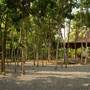 Горящие туры в отель Plataran Borobudur - 1