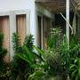 Горящие туры в отель Lemon Hostel Lembongan - 2