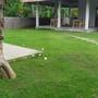 Горящие туры в отель JuBlu Hotel - 4