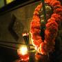 Горящие туры в отель Hotel Shri Ganesh - 1