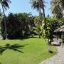 Горящие туры в отель Ciliks Beach Garden - 1