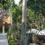 Горящие туры в отель Coco Resort Penida - 6
