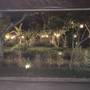 Горящие туры в отель Batur Sunrise Guesthouse - 5