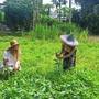 Горящие туры в отель Phuket Nonnita Boutique Resort - 1