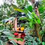 Горящие туры в отель Floraville Phuket Resort - 6