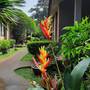 Горящие туры в отель Floraville Phuket Resort - 3