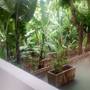 Горящие туры в отель Kilimanjaro Mountain Resort - 4