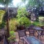 Горящие туры в отель Kilimanjaro Mountain Resort - 6
