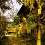 Горящие туры в отель Ubud Aura Wellness Sanctuary - 3