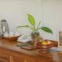 Горящие туры в отель Uma Dawa Resort and Spa - 5