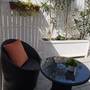 Горящие туры в отель Citrus Boutique Hotel - 1